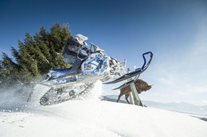 Skidoo Winter