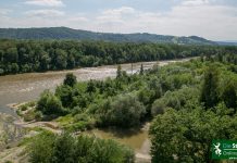 Fluss Steiermark Hochwasserschutz