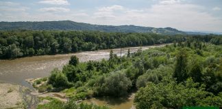 Fluss Steiermark Hochwasserschutz