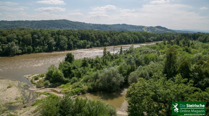 Fluss Steiermark Hochwasserschutz