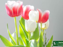 Muttertag Blumen