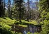 Nationalpark Hohe Tauern