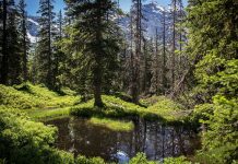 Nationalpark Hohe Tauern