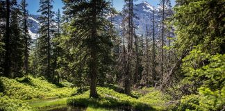 Nationalpark Hohe Tauern