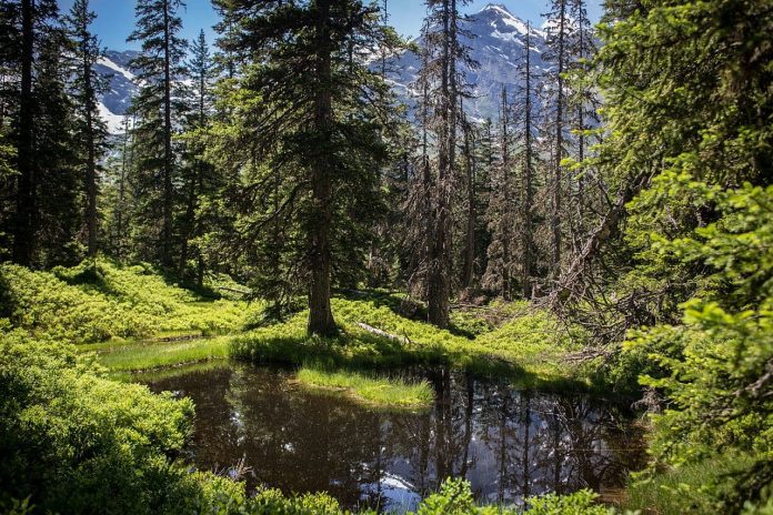 Nationalpark Hohe Tauern