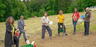 Wildblumen Steiermark pflanzen