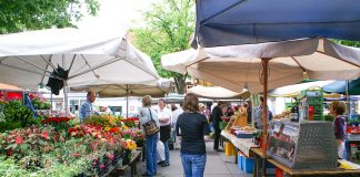 Bauernmarkt