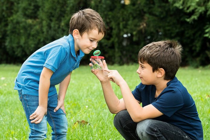 Kinder lernen Tierschutz