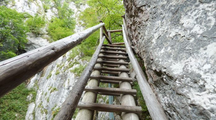 Bärenschützklamm