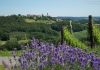 Themenwege in der Steiermark