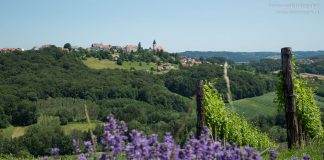 Themenwege in der Steiermark