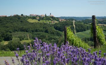 Themenwege in der Steiermark