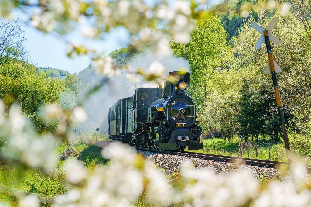 Mariazellerbahn Dampflock